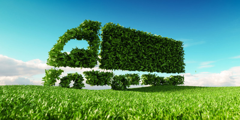 CDC-eco-1